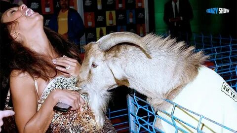 Throat goat