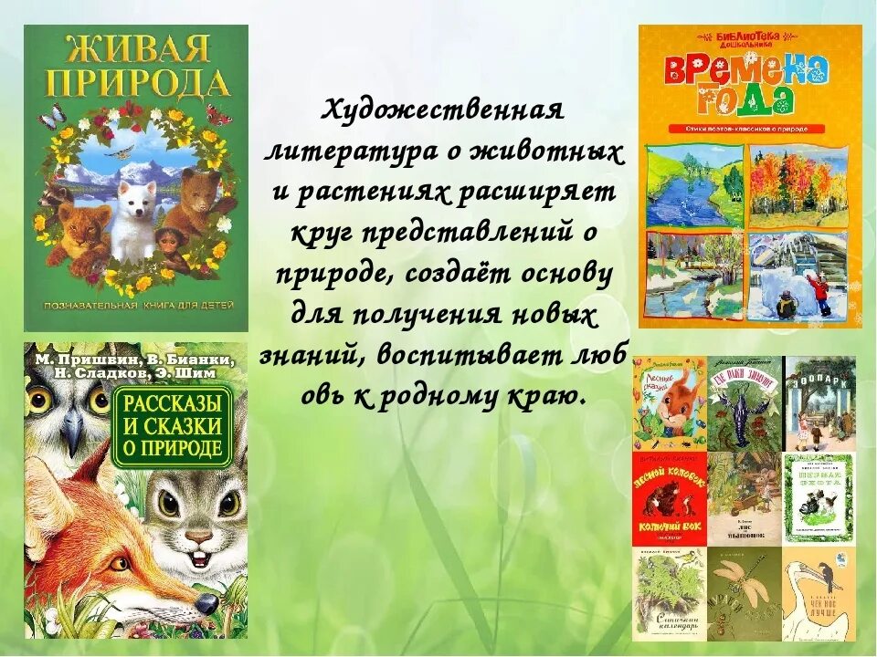 Значение рассказов о природе. Книги о природе для детей. Художественные книги о природе. Книги про животных Художественные. Природа в художественной литературе.