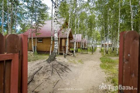 Роща тур