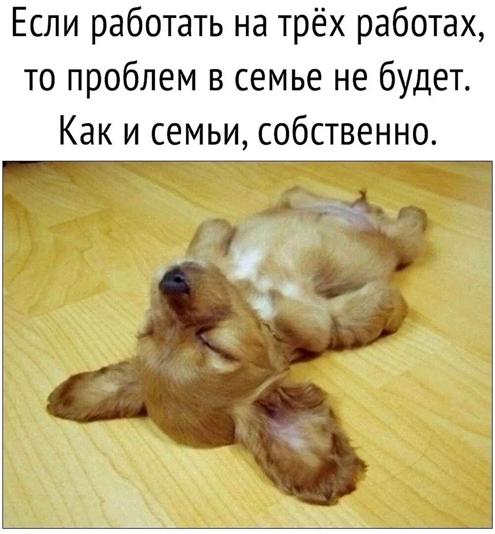 Усталый человек. Усталый я сел отдохнуть под большим кедром. Перепишите расставляя пропущенные знаки препинания. Табличка устал присядь. Мужчина на природе.