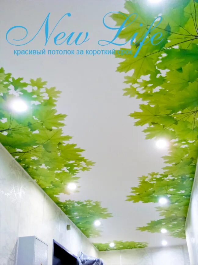 натяжные потолки с цветами. натяжные потолки с цветами. шутерсток потолки каталог. фотопечать на потолке. шутерсток потолки каталог.