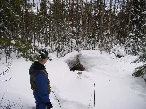 Медвежья Берлога зимой. Берлога медведя зимой в лесу. Медведь зимой в берлоге. Берлога охотника