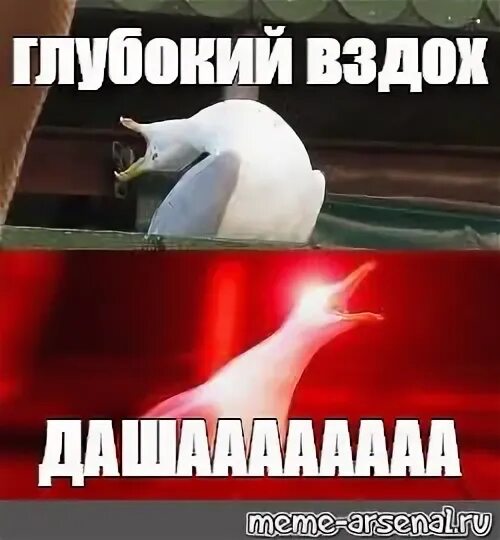 Чайка Мем. Глубокий вдох. Глубокий вздох. Мем Гусь глубокий вдох. Глубокий вдох форум