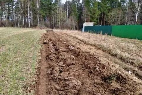 Ширина 10 полос