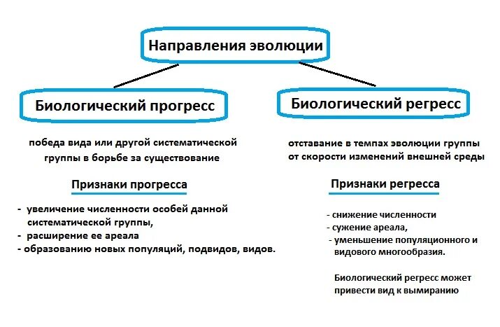 Направления эволюции конспект