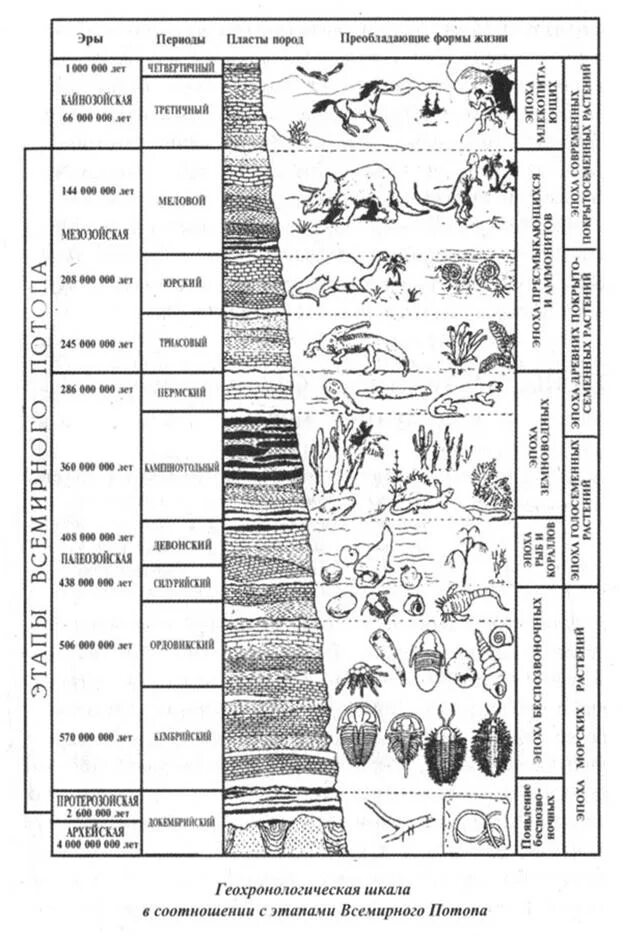 Развитие жизни по эрам и периодам таблица. Геохронологическая шкала развития органической жизни. Геохронологическая шкала эволюции. Геохронологическая таблица развития земли.