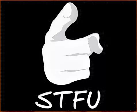 Stfu что это значит. Stfu. stfu что значит. stfu расшифровка сленг. stfu lyrics.
