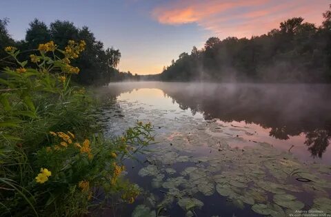 Подмосковье под водой