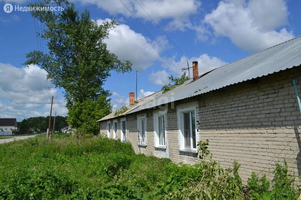 Новотырышкино новосибирская область октябрьская улица. Погода в новотырышкино колыванский новосибирской. Погода в новотырышкино колыванский новосибирской. Новотырышкино новосибирская область на карте. В селе.
