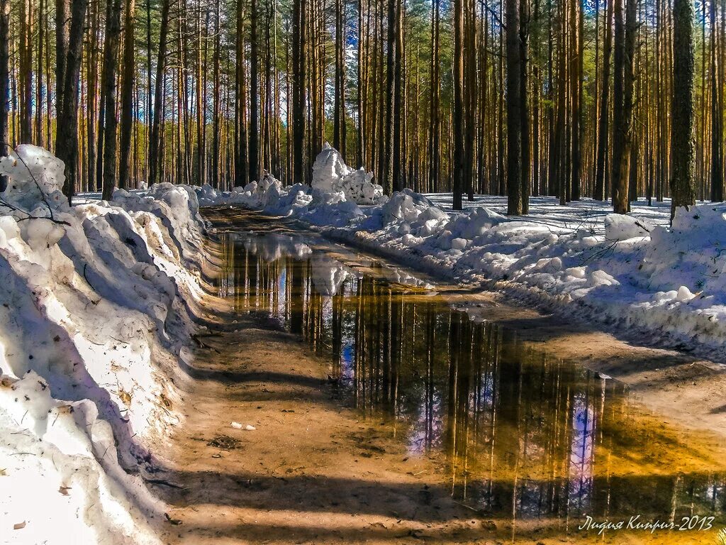 Сильное таяние снега. Тает снег. Таяние снега. Таяние снега в городе.