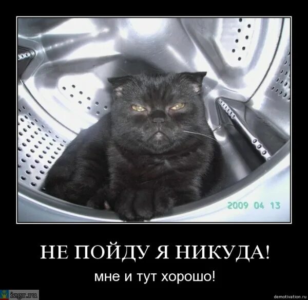 Я никуда не денусь. Нельзя ходить с незнакомыми людьми. Не иди отдохни. Я никуда не уйду. Никуда не заходи.