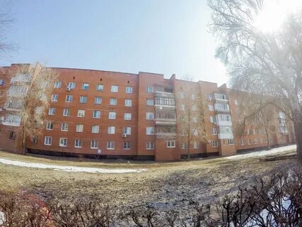 Кулибино