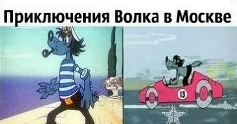 Приключения волка