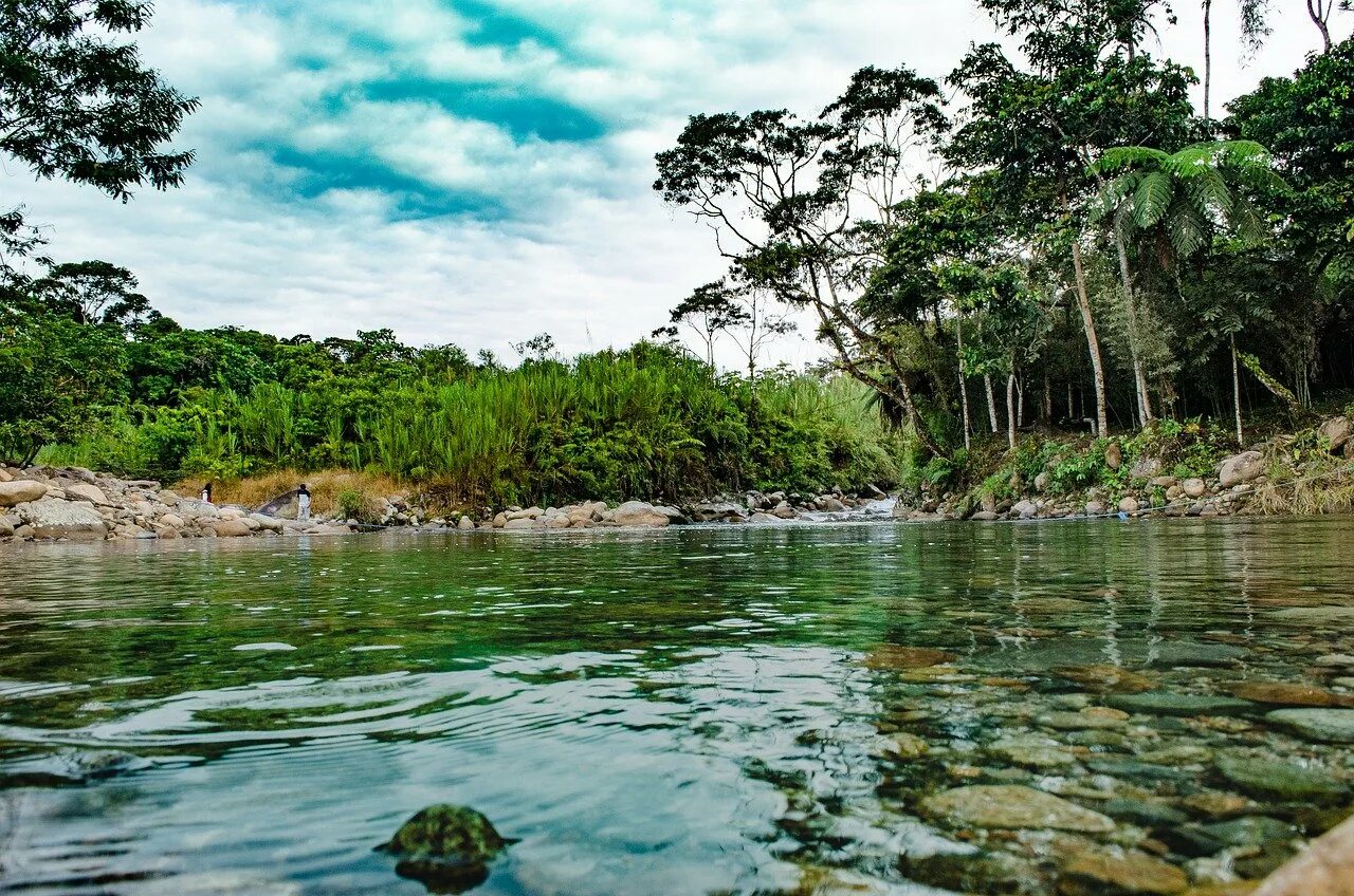 Амазонка сток. Река Амазонка. Амазонская Сельва. Природный резерват гвианская Амазония. Эквадор Амазония.
