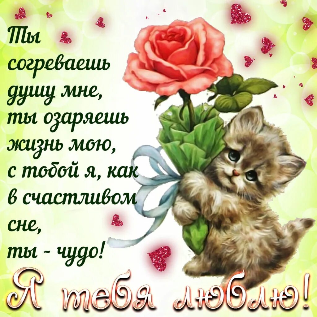 Картинки с пожеланием люблю. Открытка любимой девушке. любимый девушки открытку. открытки для любимого. картинки девушке с приятными словами.