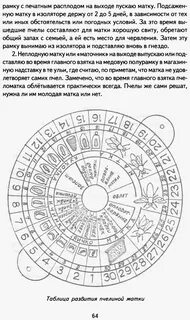 После выхода матки