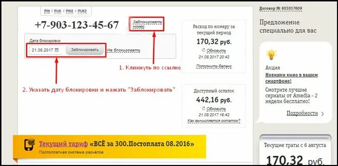 Как заблокировать карту на билайне. Как заблокировать карту на билайне