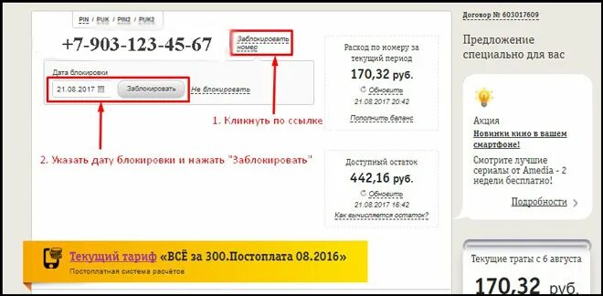 Заблокировать сим карту Билайн. Блокировка номера Билайн. Заблокировать сим карту Билайн в личном кабинете. Сим карта заблокирована. Как разблокировать свой номер телефона