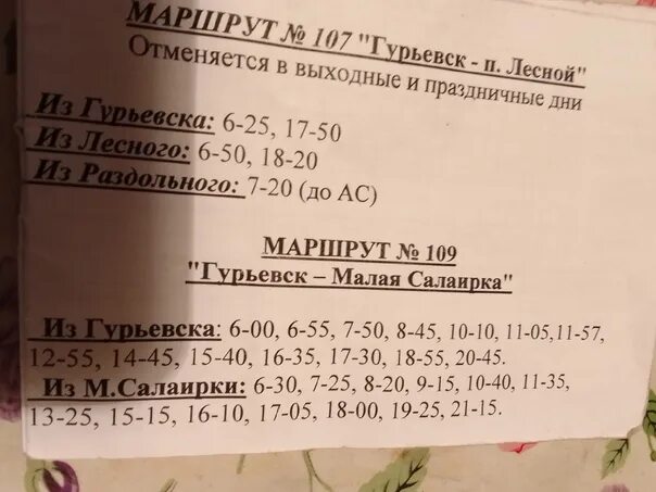 Расписание автобусов гурьевск салаир 108. Расписание автобусов Гурьевск малая Салаирка. Расписание автобусов Гурьевск. Расписание автобуса 109 Гурьевск. Расписание Гурьевск.