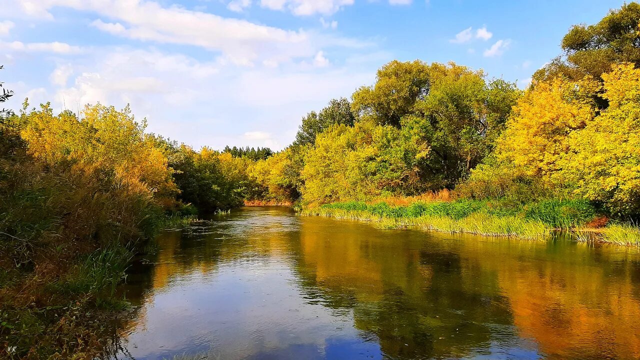 Сайт сейм курск. Река Сейм Солнцево Курская область. Курск природа река Сейм. Вырдовский пруд Щигры. Природа города Курска.