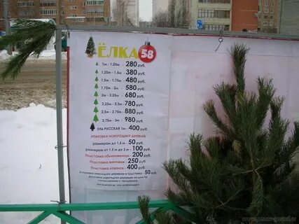 До скольки работают елочные базары