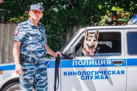 Кинолог ростов