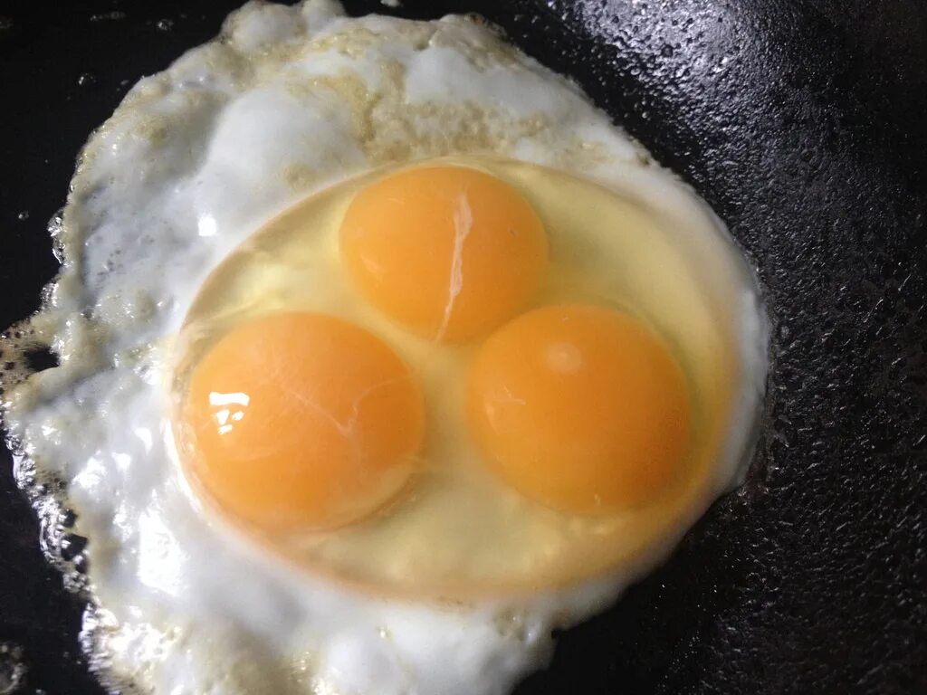 Два желтка примета. Двухжелтковое яйцо. Двойной желток в яйце. Яйцо с тремя желтками. Куриное яйцо с 3 желтками.