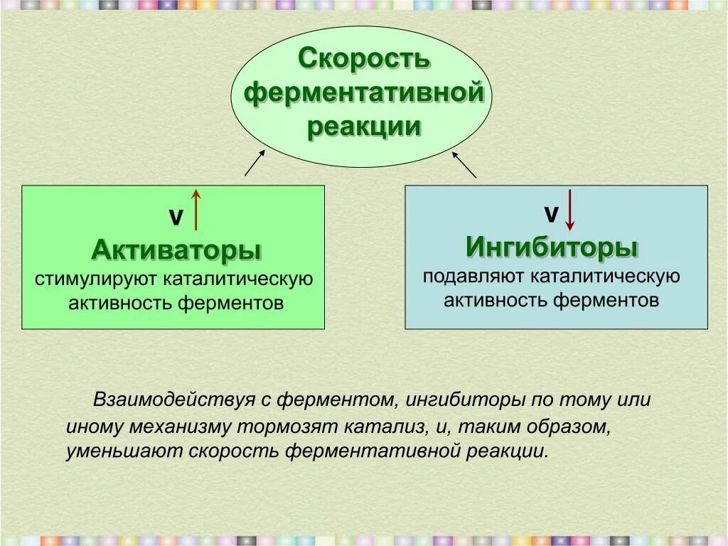 Действие ингибиторов и активаторов на фермент. Активаторы и ингибиторы ферментных реакций. Механизм действия активаторов и ингибиторов ферментов. Механизм действия ингибиторов ферментов биохимия. Типы активаторов