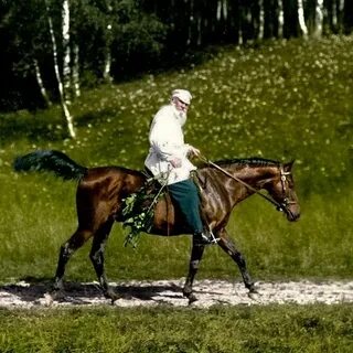 Езда ясный