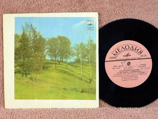 градский в полях под снегом