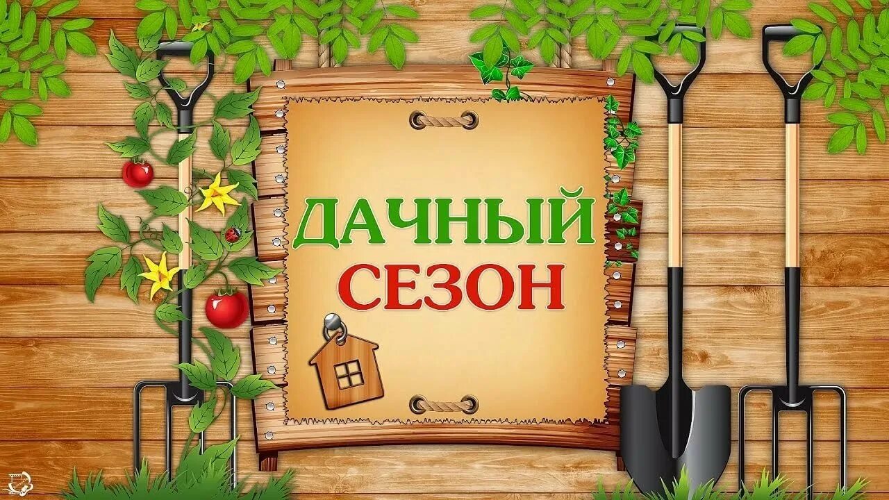 Дача от какого слова
