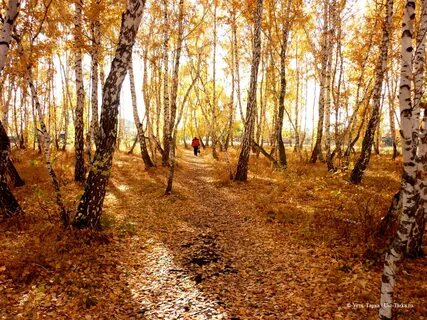 Слушать есенина отговорила