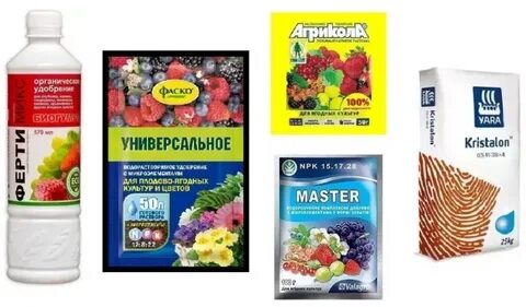 Какие удобрения нужны под осень