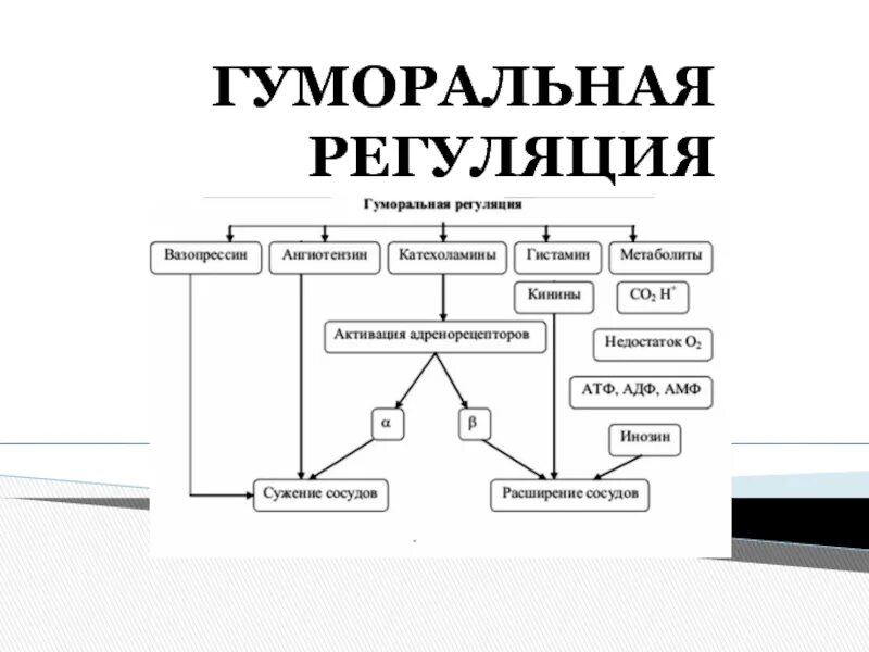 Ментальная регуляция. Гуморальная реакция. гуморальная регуляция презентация физиология. ментальная карта регуляция дыхания. гуманитарная регуляция.