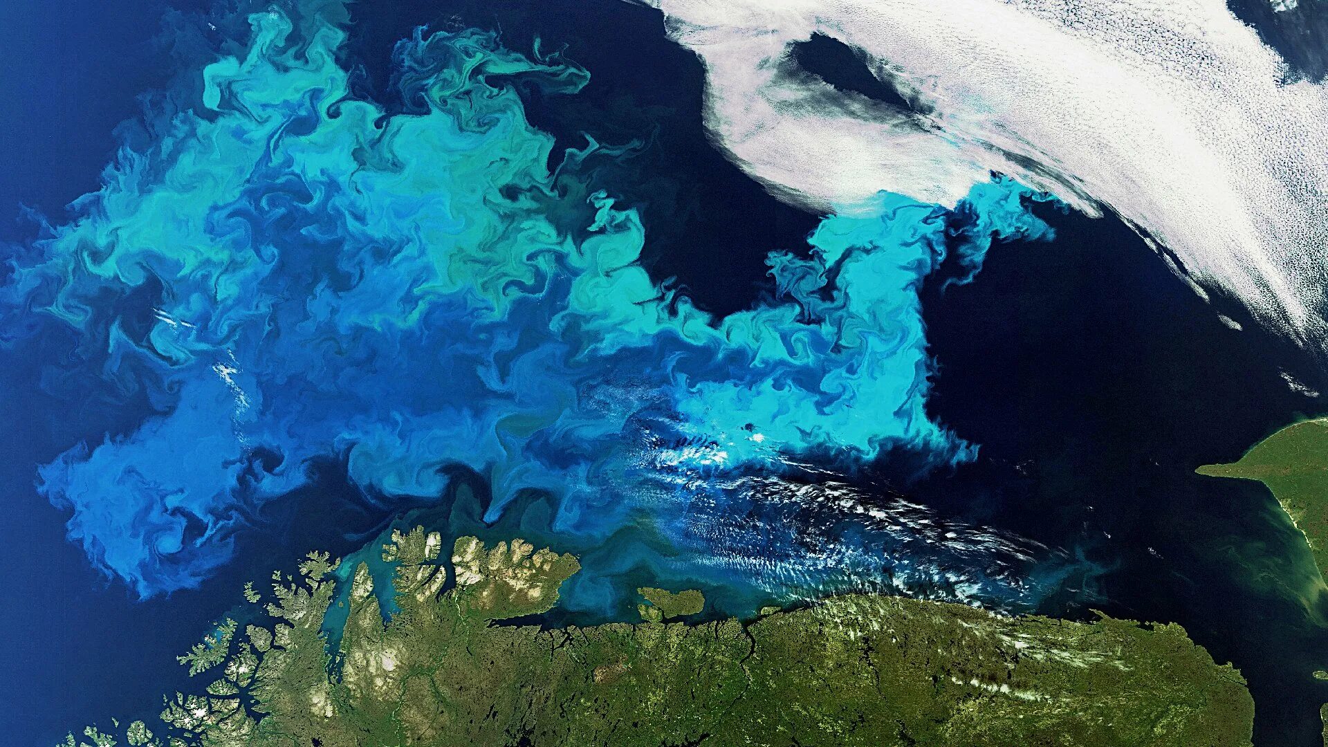 Океаны было и стало. Фитопланктон. Океанография. Водный объект по космоснимку. Мировой океан цветет.