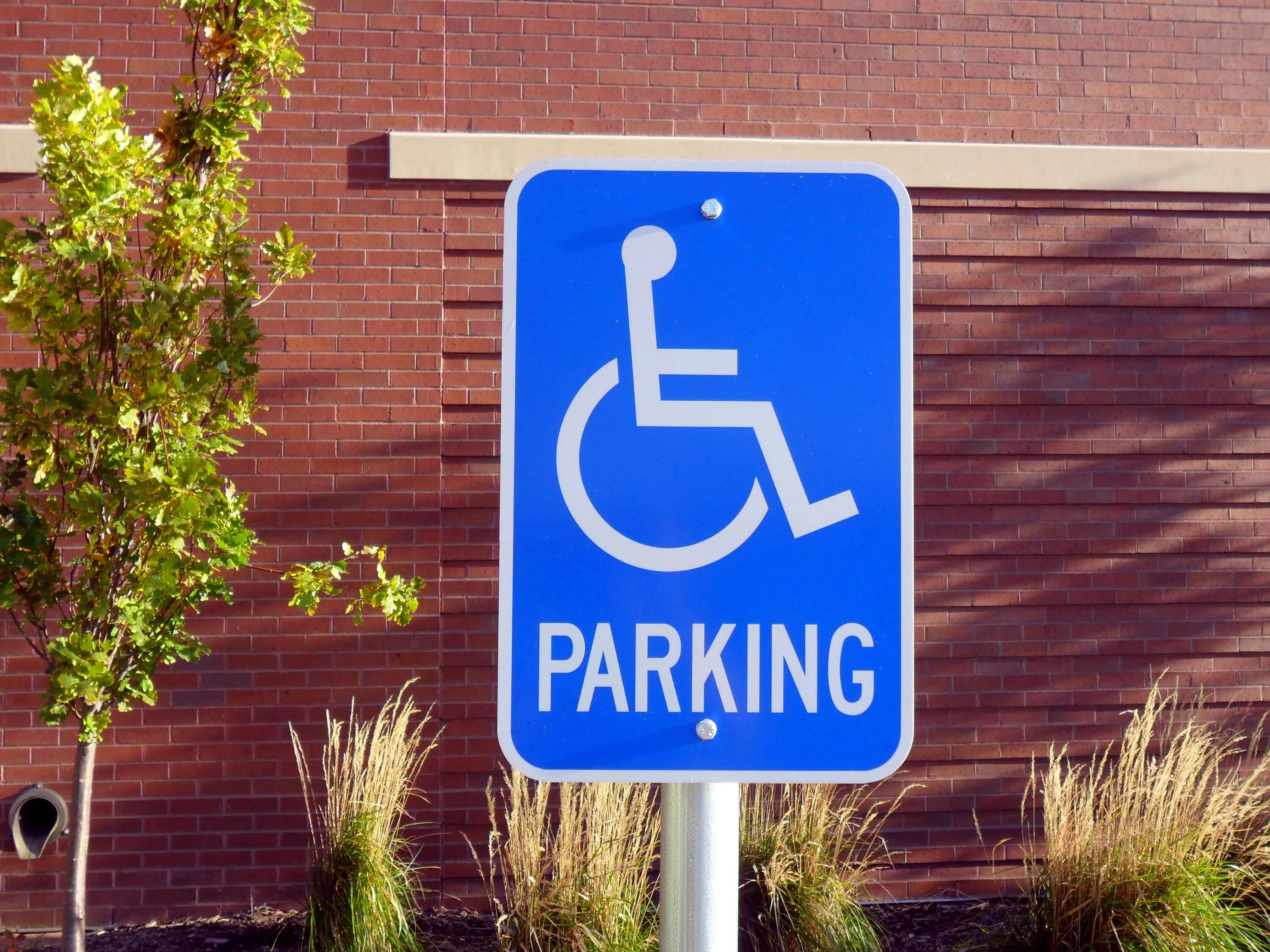 Sign save. Parking знак. Handicapped parking. Park sign. Дорожный знак паркинг с домиком.