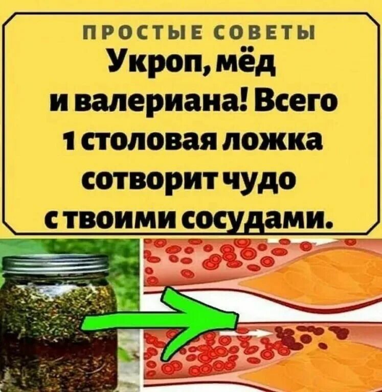 Прочистка сосудов. Укроп, мёд и валериана. Как почистить сосуды. Укроп мёд и валериана для чистки сосудов. Укроп мед и валериана сотворят чудо с твоими сосудами.