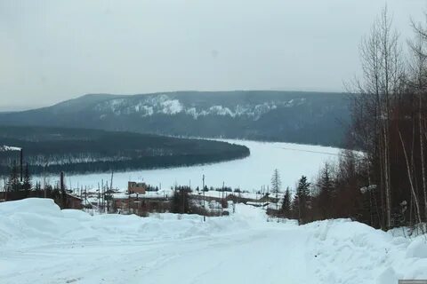 Северное снежное