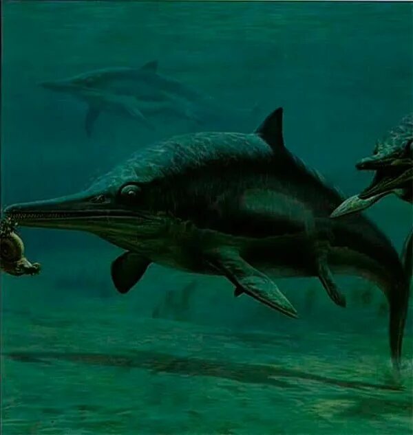 Ихтиозавр вторичноводный. Ихтиозавр динозавр. Ихтиозавры Триасового периода. Мезозойская Эра ихтиозавры. Ихтиозавры Юрского периода.