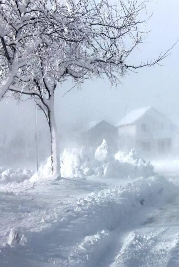 Gif let it snow. Snowing cold weather. Морозная вьюга. Дом зимой. Снегопад.