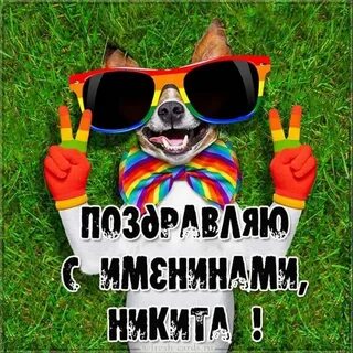 Поздравления с днем никиту картинки
