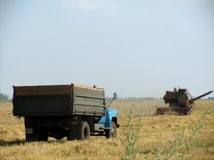 Газ зерно