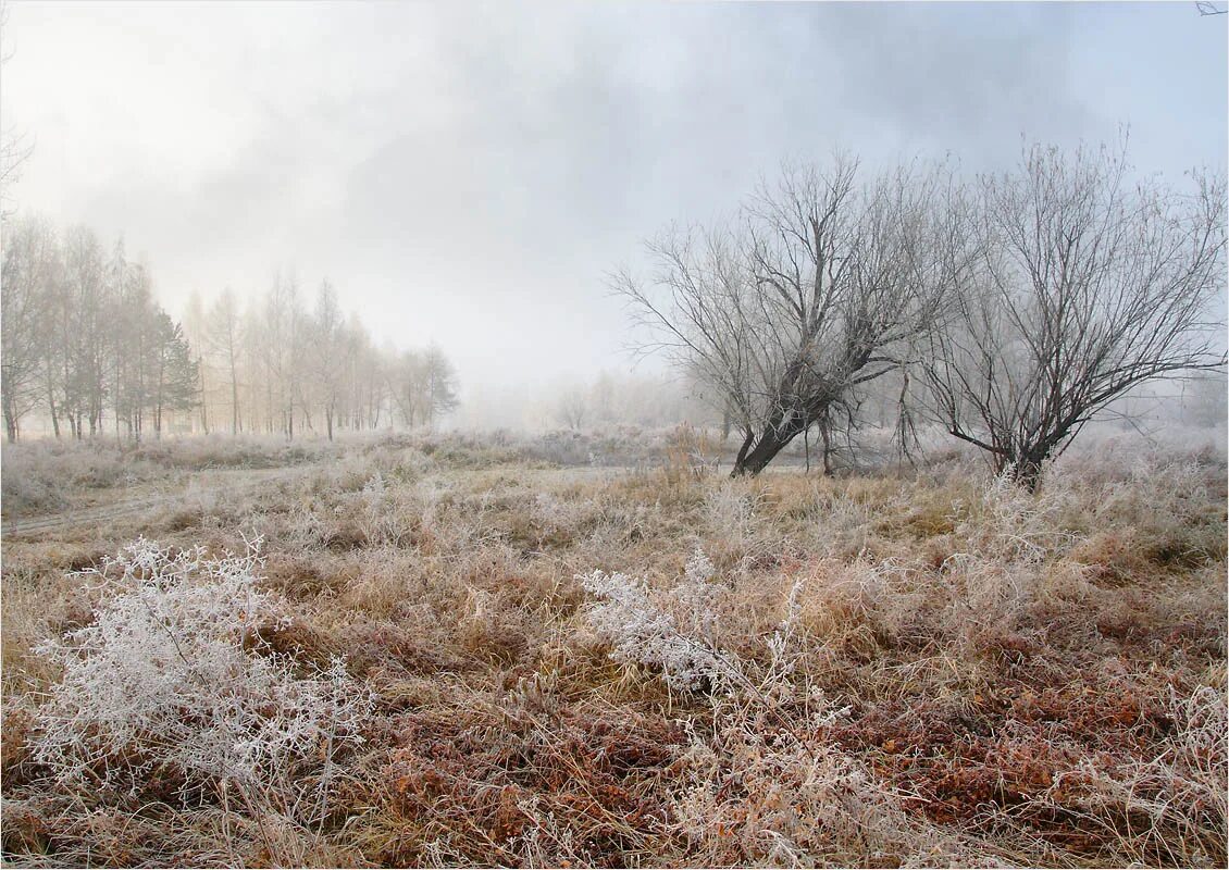 Тропинка в снегу. Сухая поздняя осень. Запорошенное снегом поле. Зимнее поле. Зимнее поле.