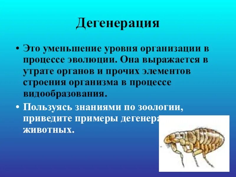 Примерами дегенерации являются. Дегенерация. Общая дегенерация примеры. Дегенерация у животных. Дегенерация в эволюции биология.