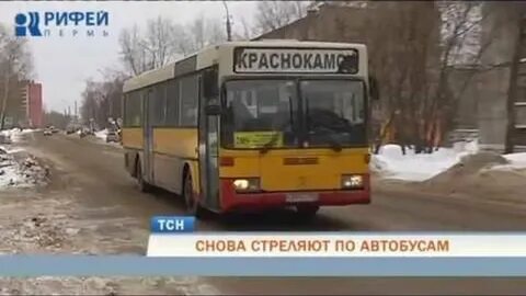 Автобус 205 закамск краснокамск