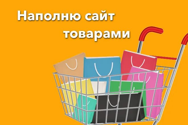 Наполнение сайта страницу. Корзина товаров для сайта. Сколько стоит наполнение интернет магазина товарами. Продающие фото для WB.