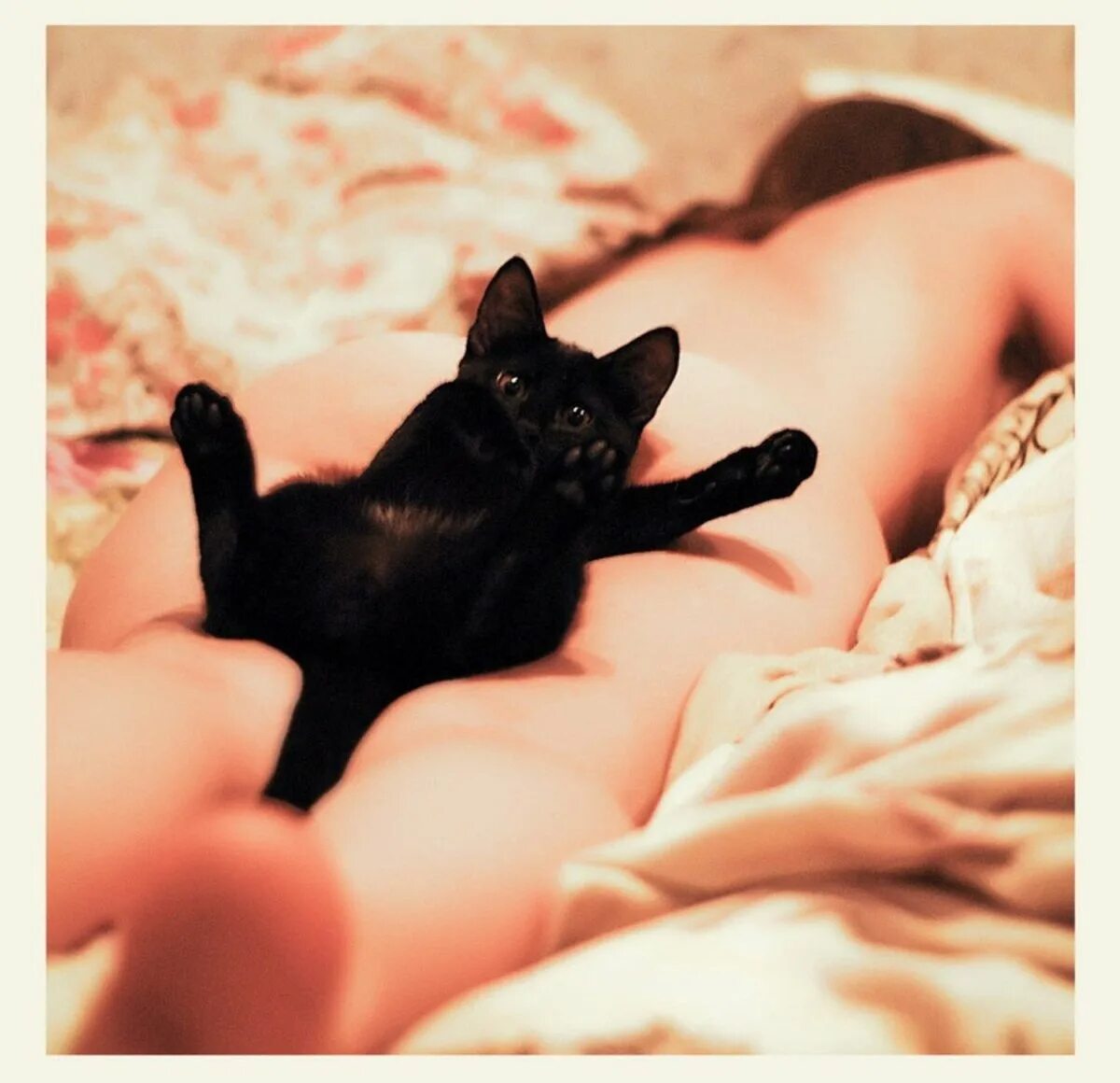 Девушка с котом на руках и голой киской между ног фото