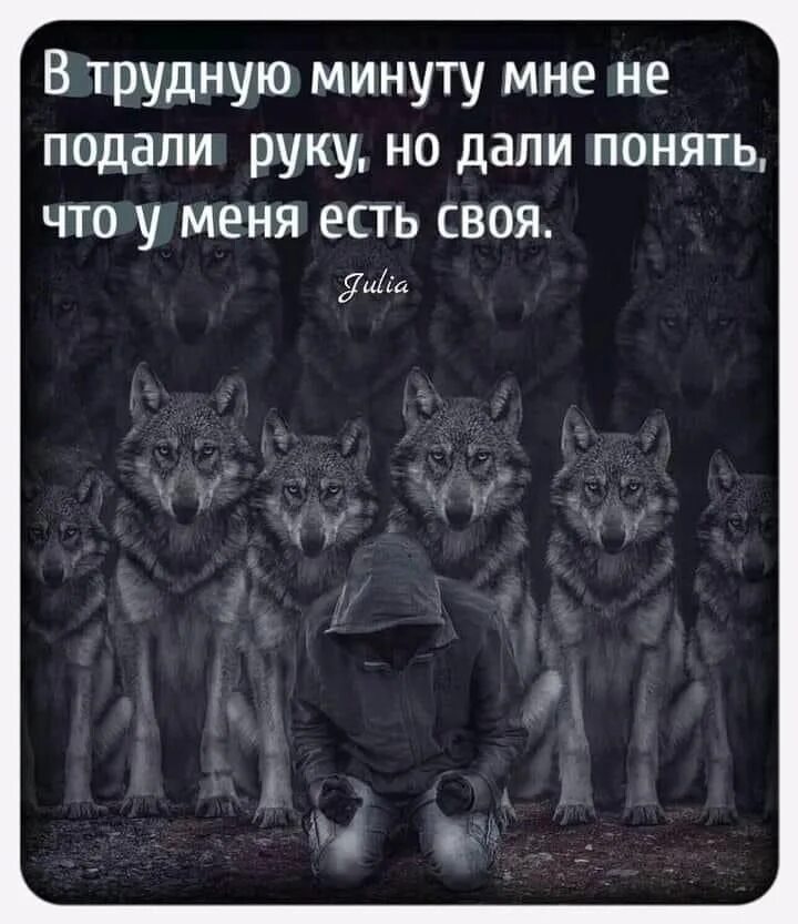 Глава стаи. Глава стаи