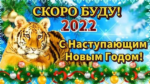 2022 год начался