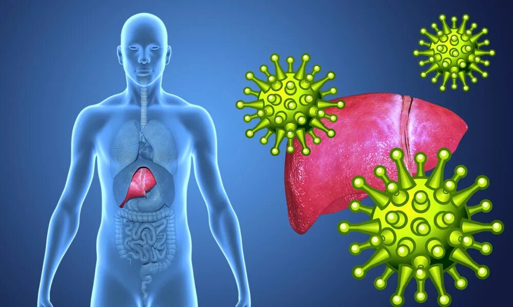 Гепатит д профилактика. Вирусные гепатиты. Гепатит фон. Вирусный гепатит печень.